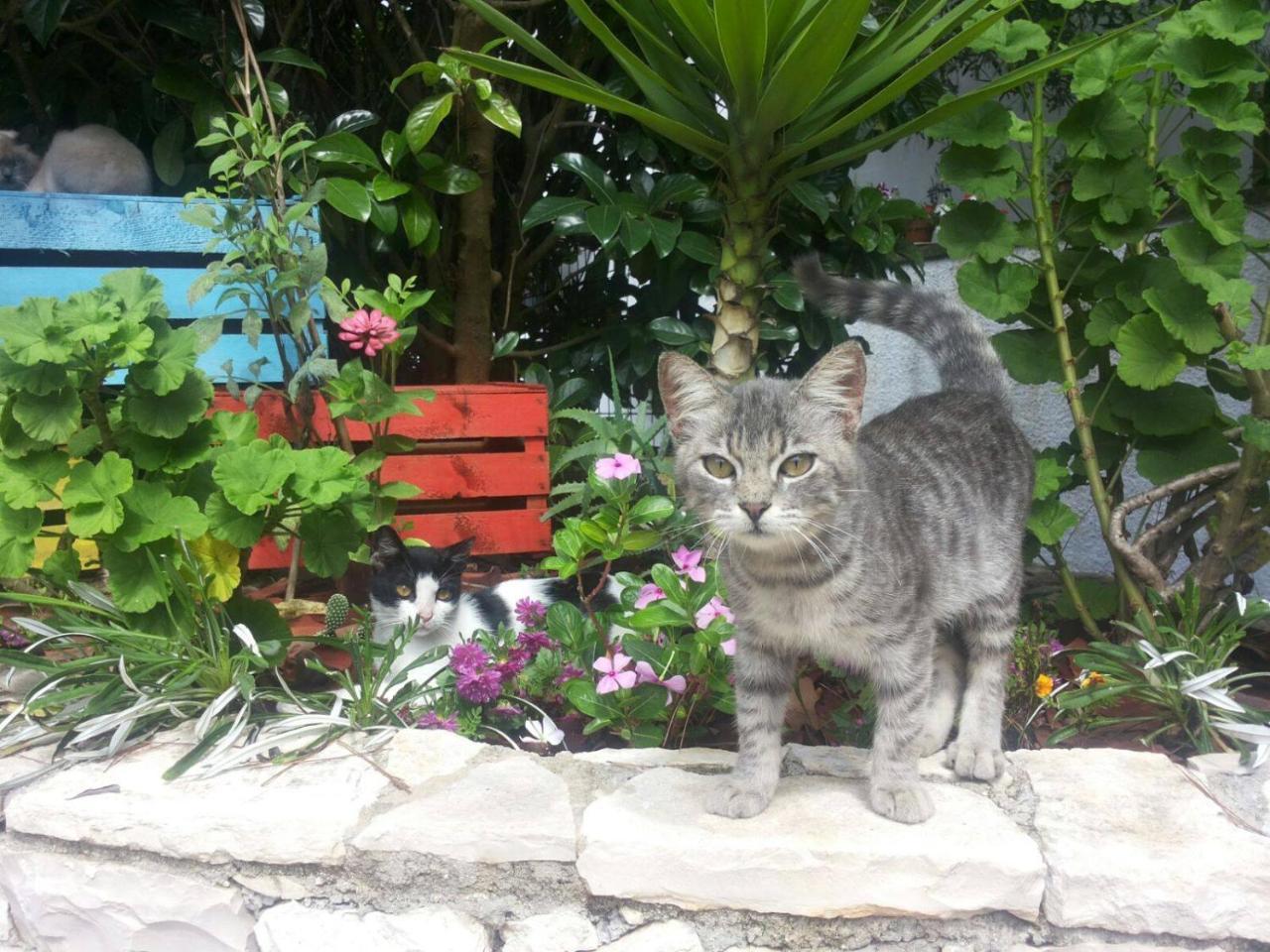 Breezes B&B Conca Specchiulla Εξωτερικό φωτογραφία